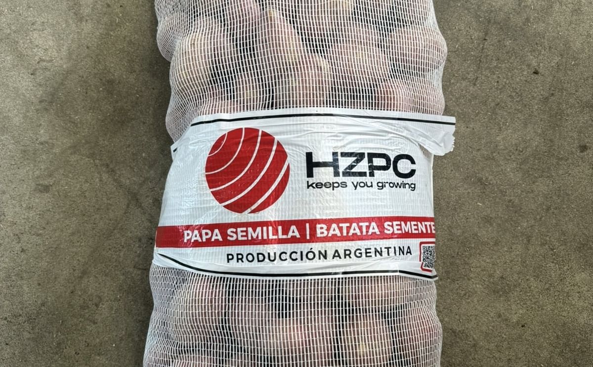 HZPC strengthens seed potato supply in Latin America HZPC strengthens seed potato supply in Latin America