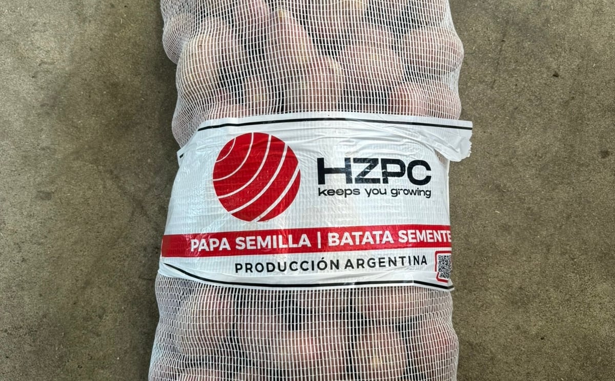 HZPC consolida el suministro de papa semilla en Latinoamérica. HZPC consolida el suministro de papa semilla en Latinoamérica.