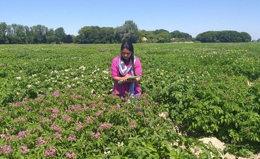 Student Plant Sciences Shivani Bhanvadia from India participated in research on the germination process of hybrid potatoes.