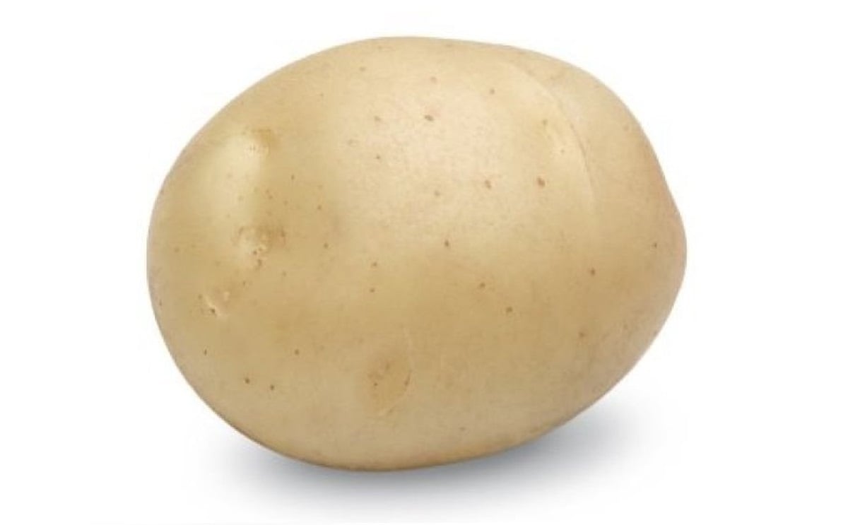 Sifra Sifra