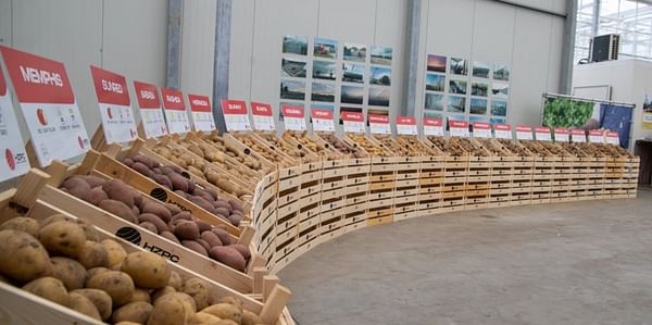 Potato innovations in the fight against hunger and climate change at HZPC's Potato Days 2021