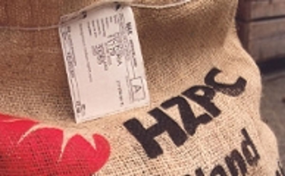 HZPC certified seed potatoes HZPC certified seed potatoes