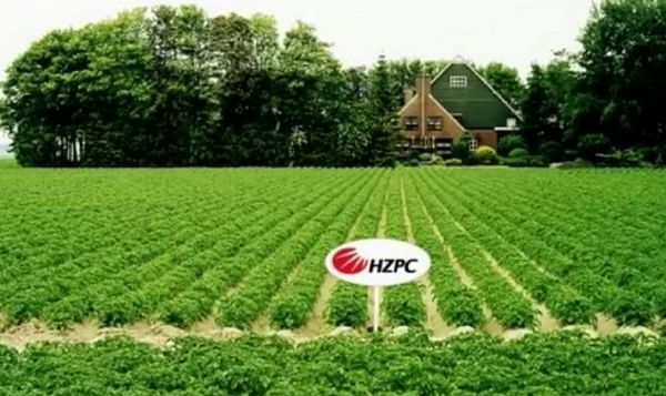 HZPC betaalt telers € 33,42 per 100 kilo over Oogst 2013