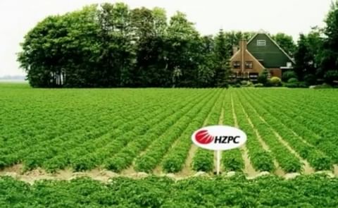 HZPC betaalt telers € 33,42 per 100 kilo over Oogst 2013 HZPC betaalt telers € 33,42 per 100 kilo over Oogst 2013