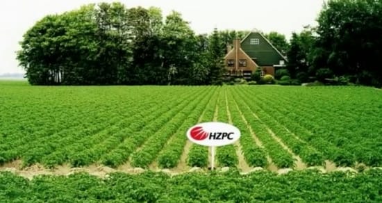 HZPC publiceert prognoseprijs pootaardappelen Oogst 2013