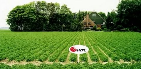 HZPC publiceert prognoseprijs pootaardappelen Oogst 2013