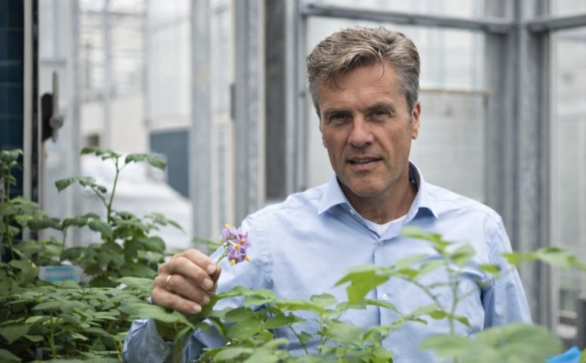 Robert Graveland, R&D manager at HZPC (Courtesy: HZPC)