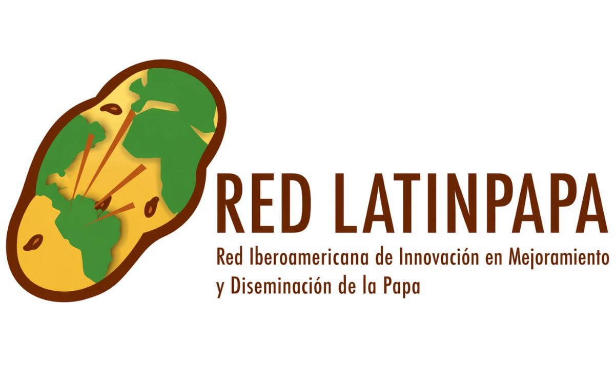 Logo de Latinpapa Logo de Latinpapa