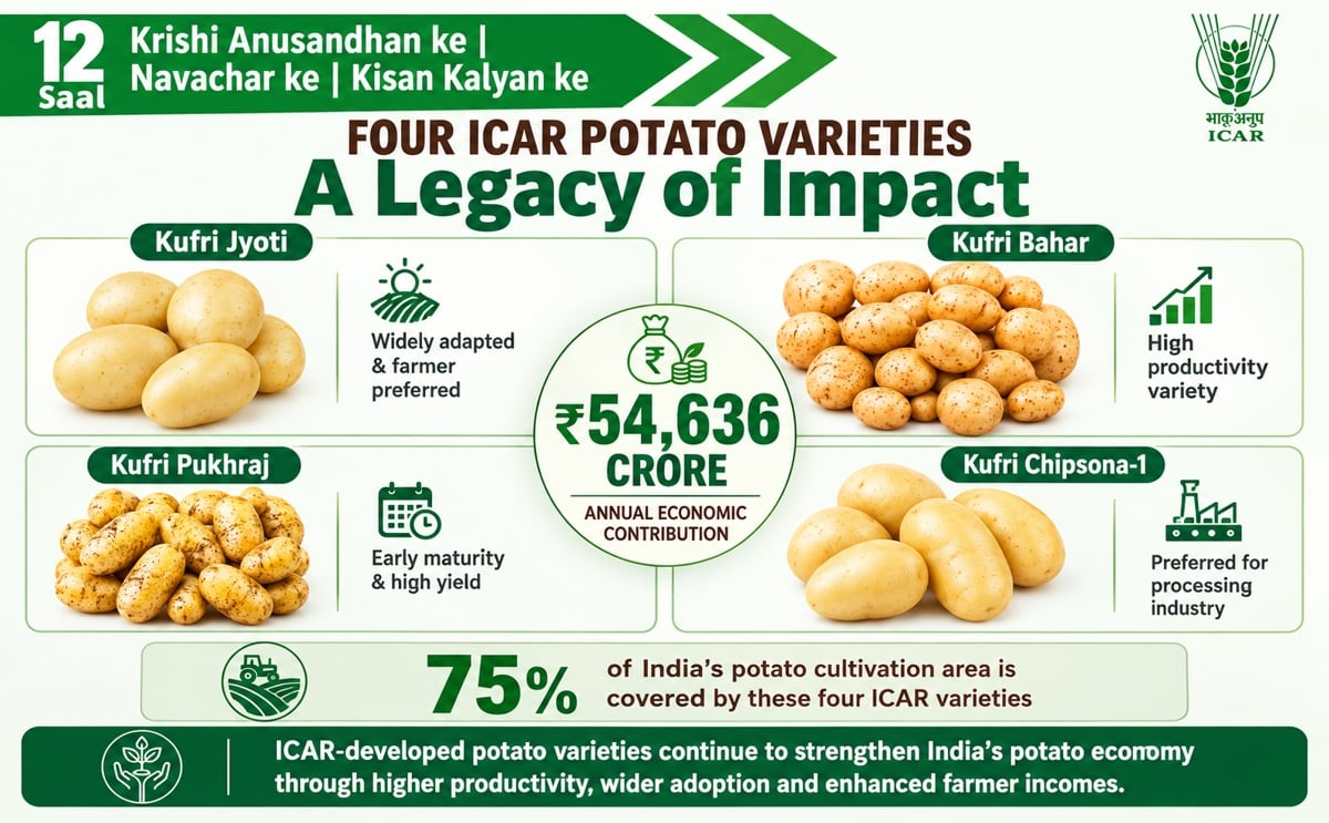 ICAR-CPRI's four potato varieties — Kufri Jyoti, Kufri Bahar, Kufri Pukhraj and Kufri Chipsona-1 — cover nearly 75% of India's potato cultivation area.