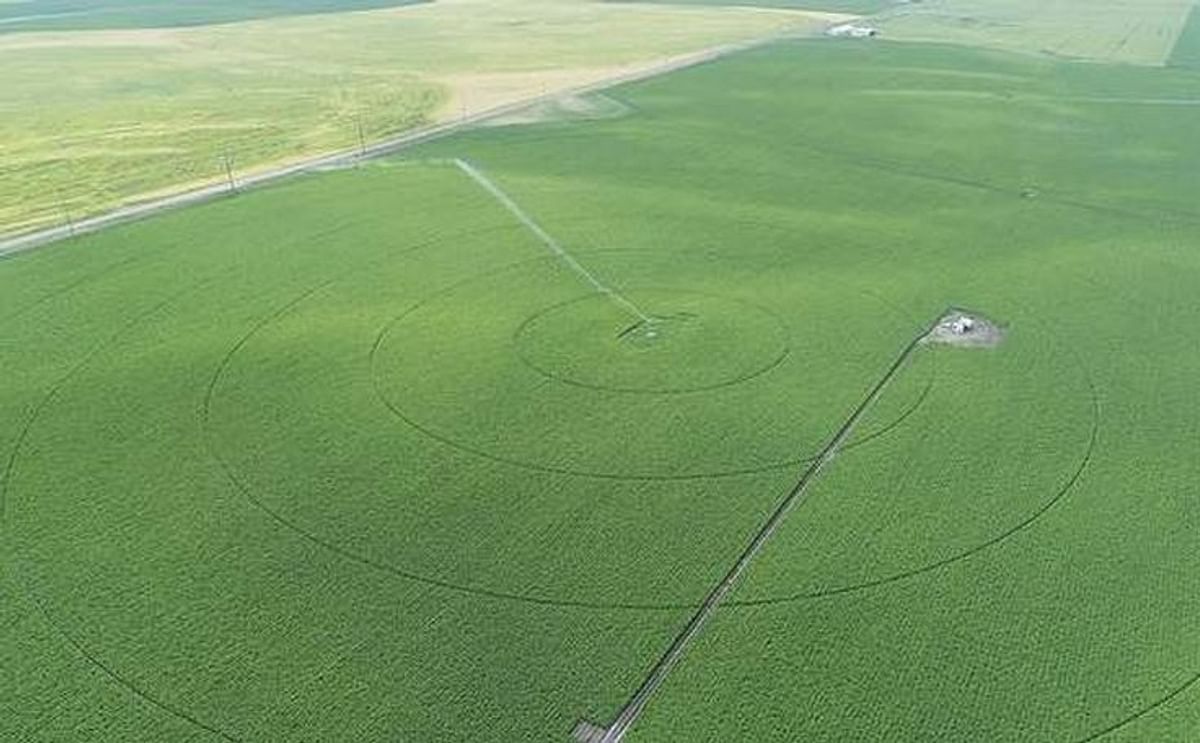 Aerial view of a potato field near Rexburg, Idaho. Growers in Idaho say the crop is on track and look forward to warm weather in the weeks ahead.