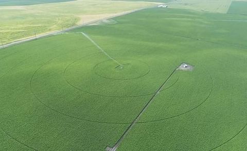 Aerial view of a potato field near Rexburg, Idaho. Growers in Idaho say the crop is on track and look forward to warm weather in the weeks ahead. Aerial view of a potato field near Rexburg, Idaho. Growers in Idaho say the crop is on track and look forward to warm weather in the weeks ahead.