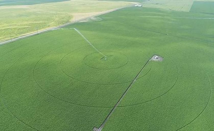Aerial view of a potato field near Rexburg, Idaho. Growers in Idaho say the crop is on track and look forward to warm weather in the weeks ahead.
