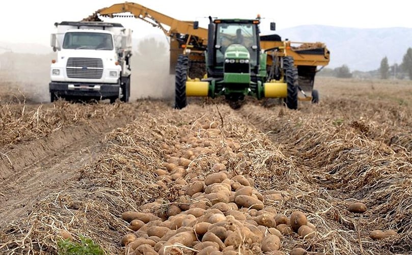 But did you know potatoes were not native to Idaho? But did you know potatoes were not native to Idaho?