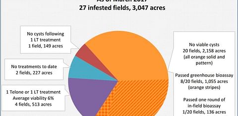 Efforts to eradicate damaging nematodes in infected Idaho potato fields progressing