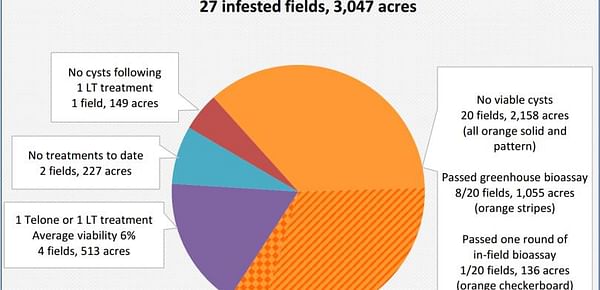 Efforts to eradicate damaging nematodes in infected Idaho potato fields progressing