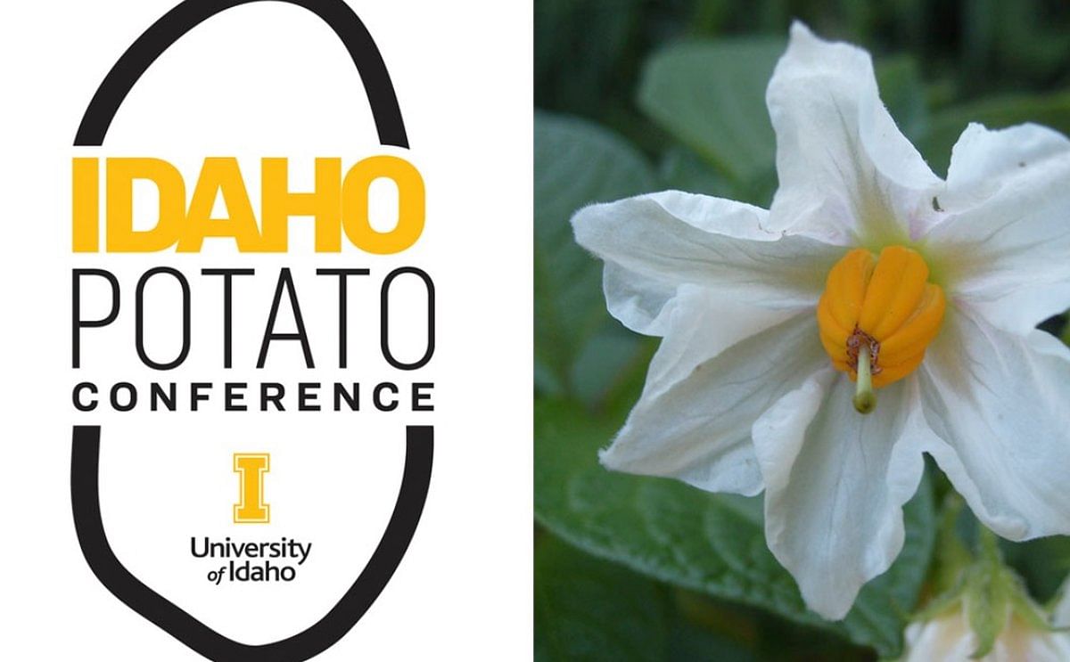 Idaho Potato Conference goes virtual this year PotatoPro