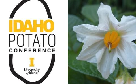 Idaho Potato Conference goes virtual this year Idaho Potato Conference goes virtual this year