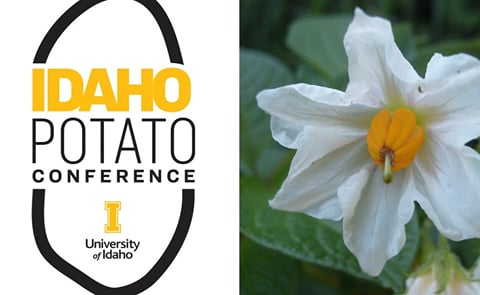 Idaho Potato Conference goes virtual this year Idaho Potato Conference goes virtual this year