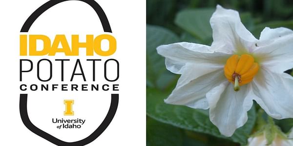 Idaho Potato Conference goes virtual this year