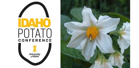 idaho-potato-conference-2024-logo-1200.jpg idaho-potato-conference-2024-logo-1200.jpg