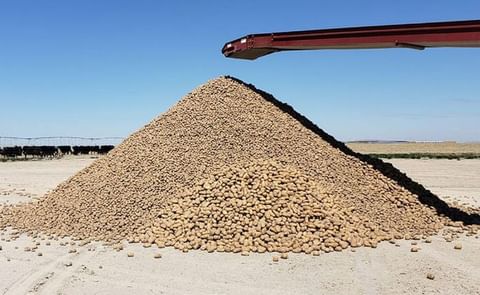 Cranney Farms in Idaho is giving about 2 million potatoes so they don't go to waste. Cranney Farms in Idaho is giving about 2 million potatoes so they don't go to waste.