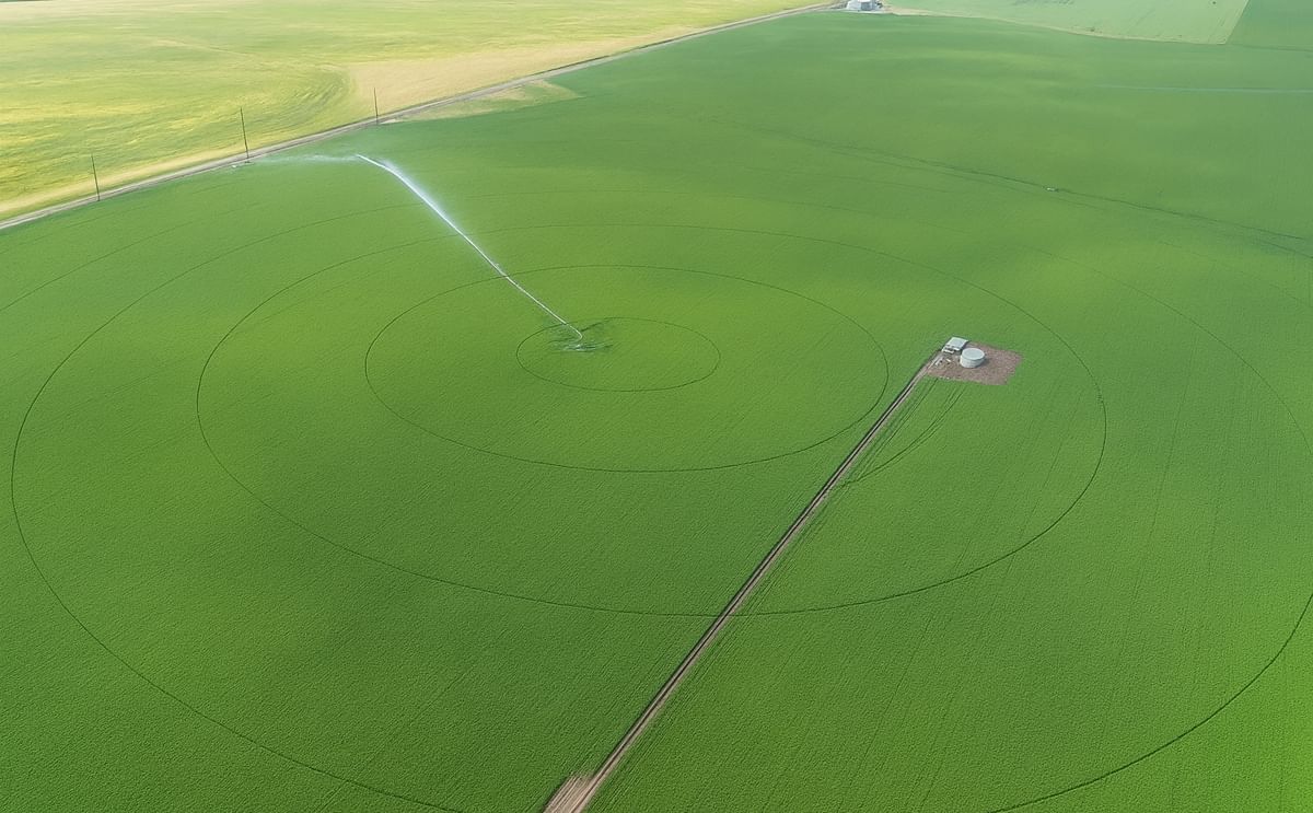 Aerial view of a potato field near Rexburg, Idaho. Growers in Idaho say the crop is on track and look forward to warm weather in the weeks ahead.