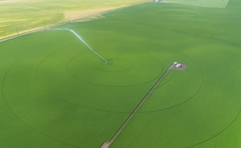 Aerial view of a potato field near Rexburg, Idaho. Growers in Idaho say the crop is on track and look forward to warm weather in the weeks ahead. Aerial view of a potato field near Rexburg, Idaho. Growers in Idaho say the crop is on track and look forward to warm weather in the weeks ahead.