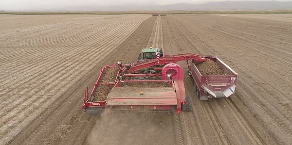 East Idaho Potato growers barely break even, according to University of Idaho report.