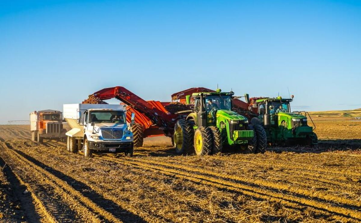 Driscoll Farms joins Potandon Produce’s Grower Alliance to strengthen its network of premier potato growers.
