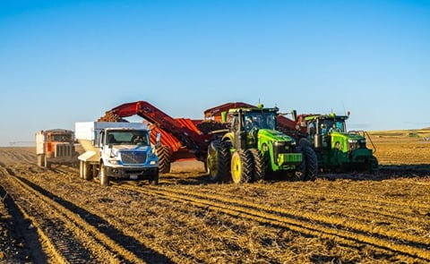Driscoll Farms joins Potandon Produce’s Grower Alliance to strengthen its network of premier potato growers. Driscoll Farms joins Potandon Produce’s Grower Alliance to strengthen its network of premier potato growers.