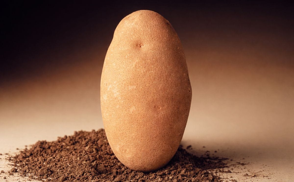 Idaho® potatoes are a significant source of potassium - an essential nutrient that many Americans do not get enough of on a daily basis.