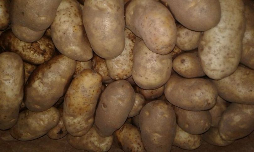 Mexico is the third largest export market for U.S. potatoes. Courtesy photo