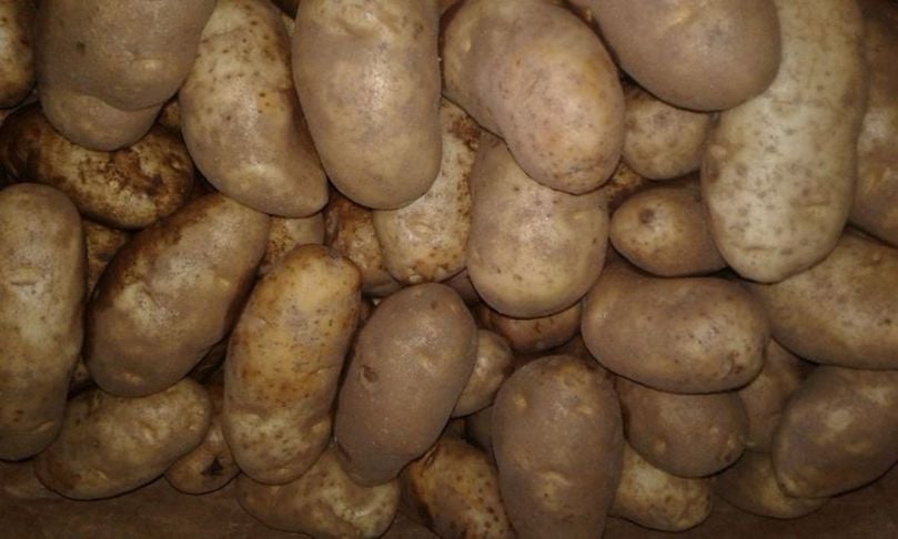 Mexico is the third largest export market for U.S. potatoes. Courtesy photo Mexico is the third largest export market for U.S. potatoes. Courtesy photo