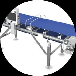 Weigh Belt