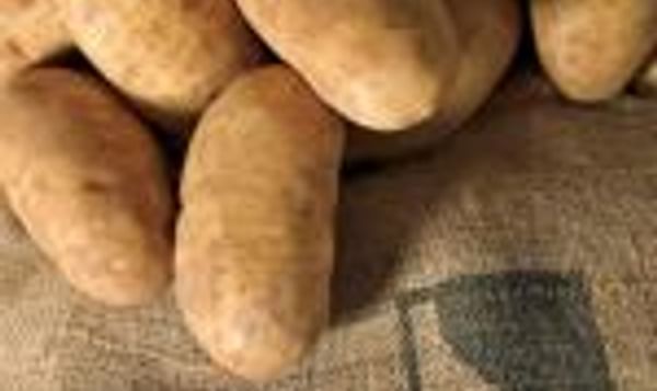  Potatoes from Idaho