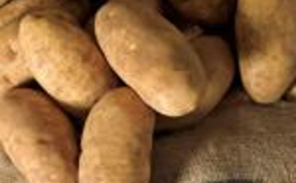 Potatoes from Idaho