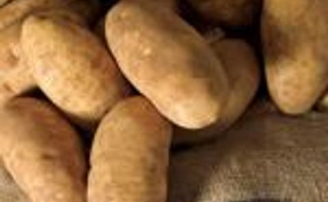 Potatoes from Idaho Potatoes from Idaho