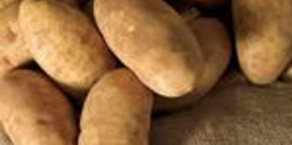  Potatoes from Idaho