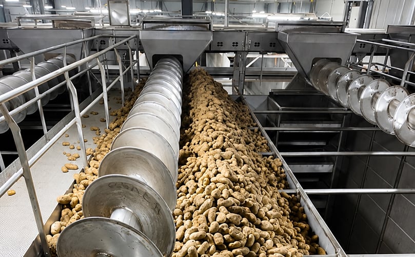 Potatoes move through the even-flow bin system at Idahoan Foods' Idaho Falls processing facility