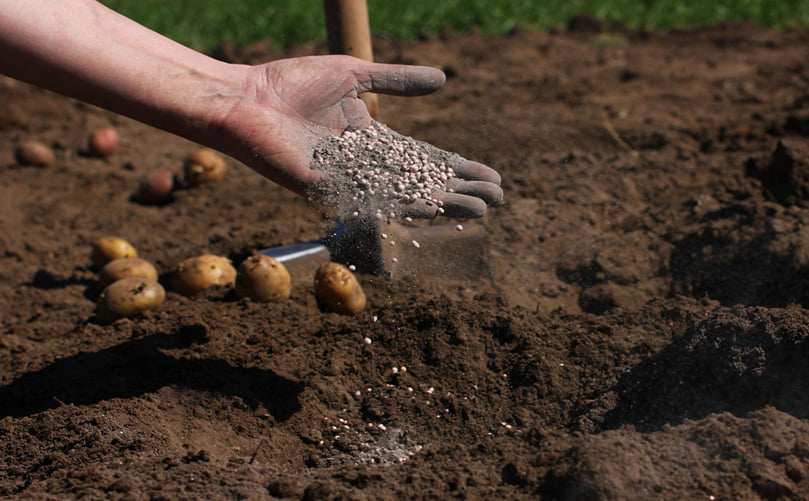 Ideal Soil Structure for Healthy Potato Growth Ideal Soil Structure for Healthy Potato Growth