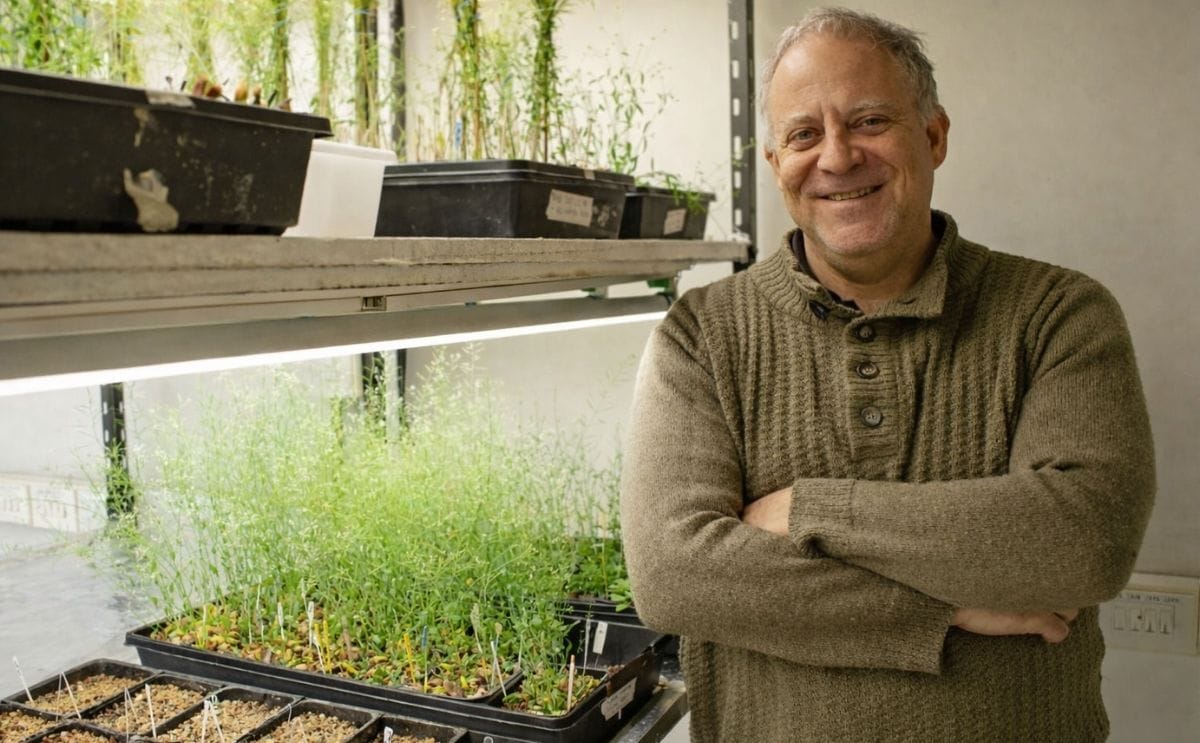 Marcelo Yanovsky, director del Laboratorio de Genómica Vegetal de la Fundación Instituto Leloir.