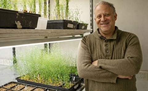 Marcelo Yanovsky, director del Laboratorio de Genómica Vegetal de la Fundación Instituto Leloir. Marcelo Yanovsky, director del Laboratorio de Genómica Vegetal de la Fundación Instituto Leloir.