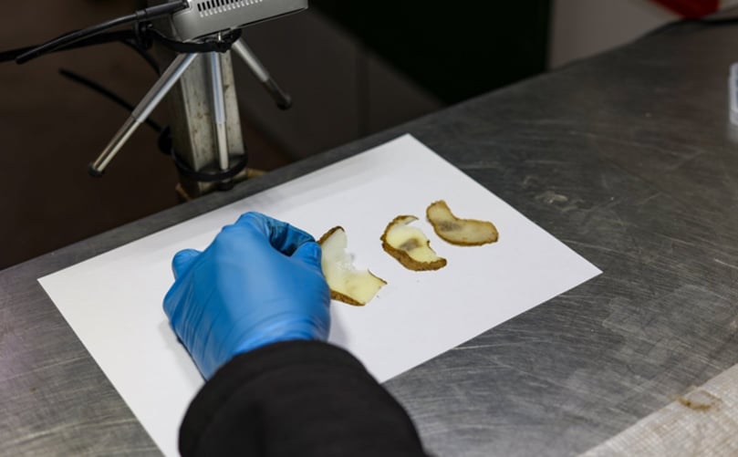 B-hive is investigating the most effective non-destructive methods of identifying susceptibility of potato bruising (including ultrasonic testing and X-ray CT scans) B-hive is investigating the most effective non-destructive methods of identifying susceptibility of potato bruising (including ultrasonic testing and X-ray CT scans)