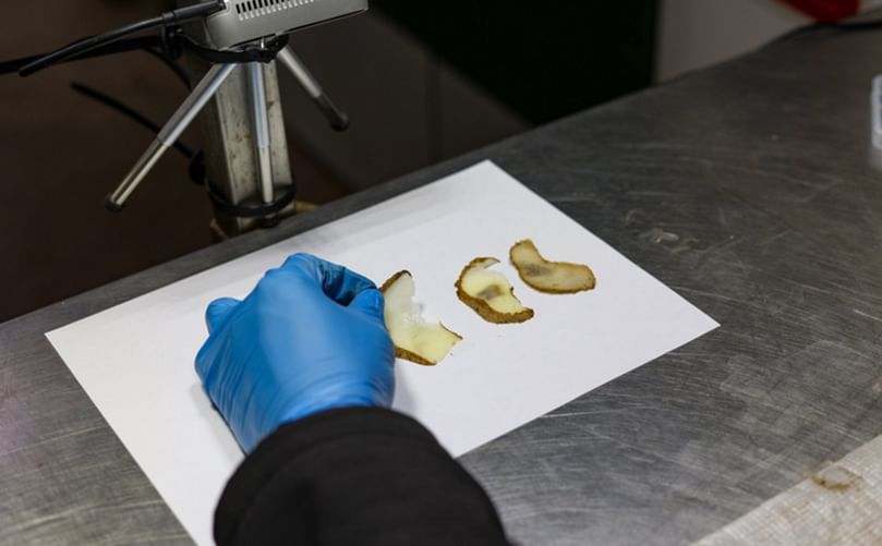 B-hive is investigating the most effective non-destructive methods of identifying susceptibility of potato bruising (including ultrasonic testing and X-ray CT scans)