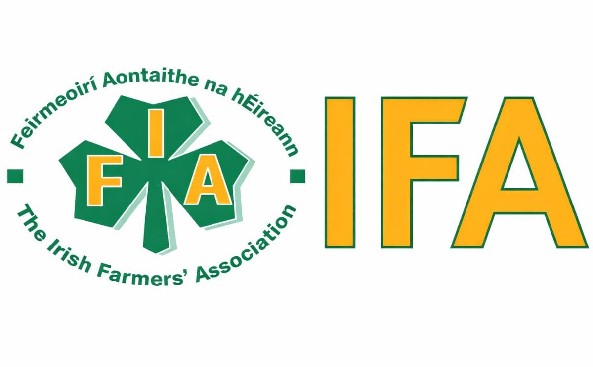 Irish Potato growers facing retail and cost challenges Irish Potato growers facing retail and cost challenges