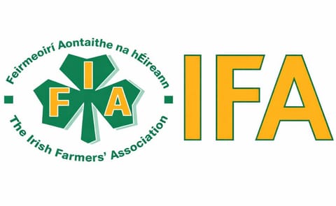 Irish Potato growers facing retail and cost challenges Irish Potato growers facing retail and cost challenges