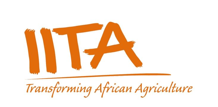 International Institute of Tropical Agriculture (IITA) International Institute of Tropical Agriculture (IITA)