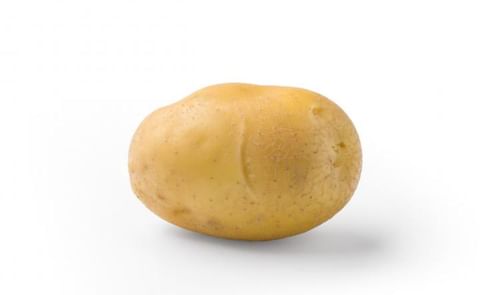 Unity One International Ikarus Unity One International Ikarus