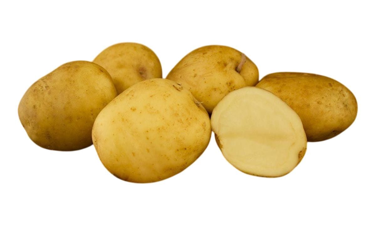 ILAM HARDY