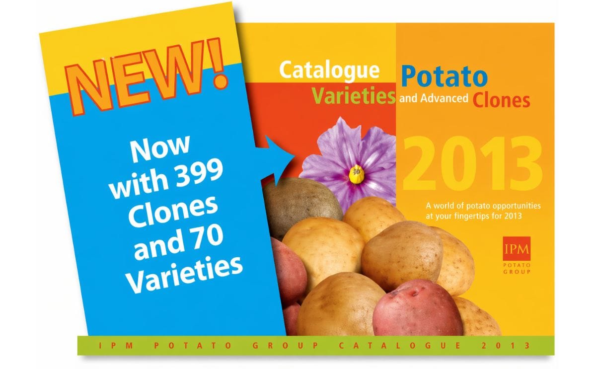 Presentación del nuevo catálogo Presentación del nuevo catálogo